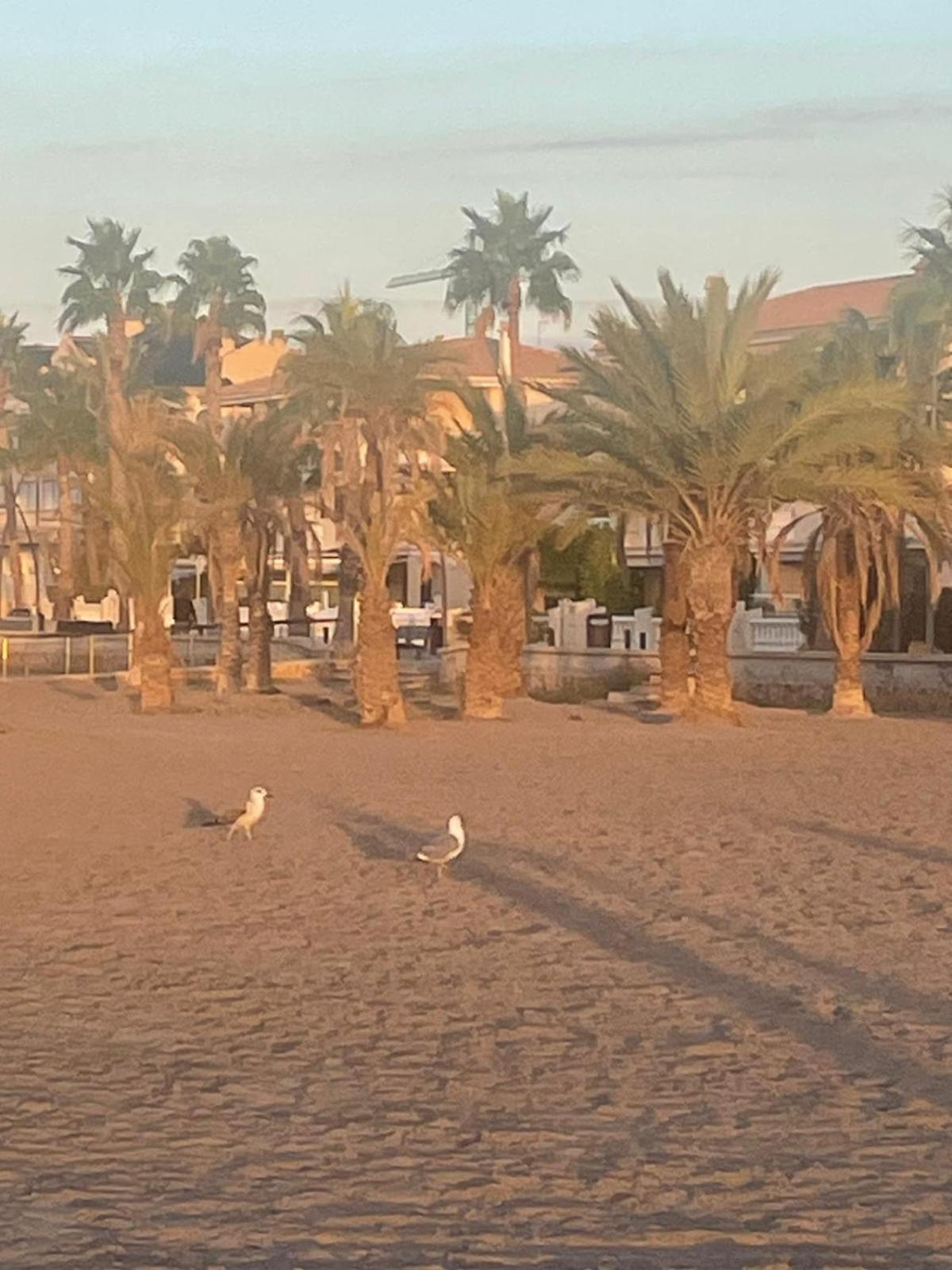 Vacaciones En Playa Del Tamarit Daire Santa Pola Dış mekan fotoğraf